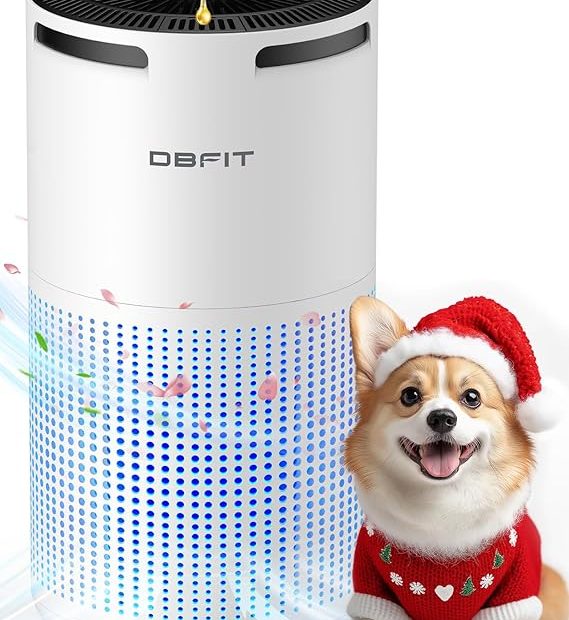 Air Purifier For Home Large Room DBFIT H13 HEPA Review