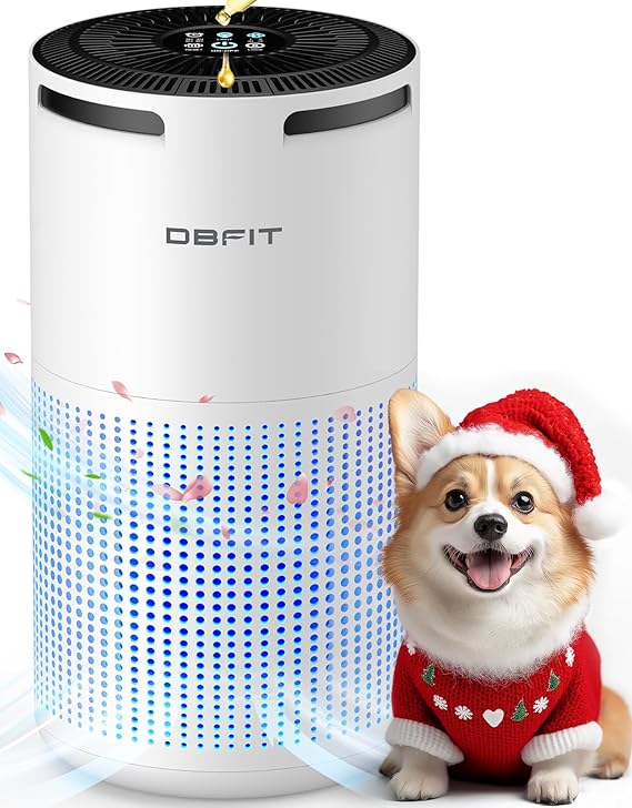 Air Purifier For Home Large Room DBFIT H13 HEPA Review