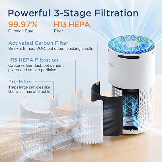 Air Purifier For Home Large Room DBFIT H13 HEPA Review