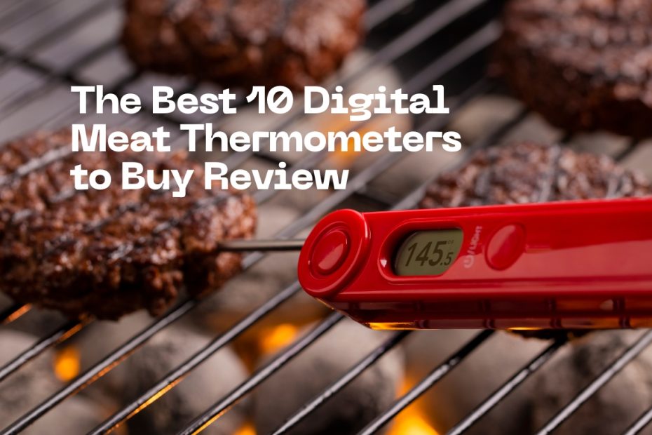 The Best 10 Digital Meat Thermometers to Buy Review