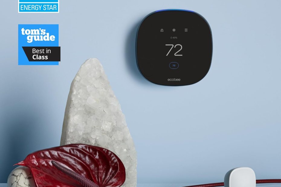 The Ecobee Smart Thermostat with Voice Control Review, Premium