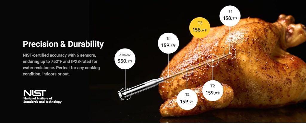 ThermoMaven Wireless Meat Thermometer Review