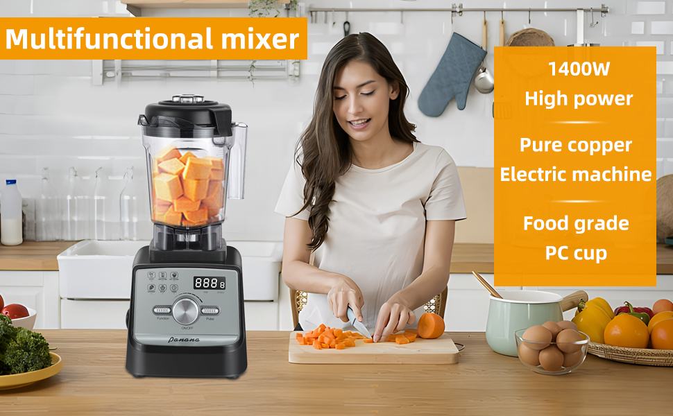 Panana Professional Blender Review