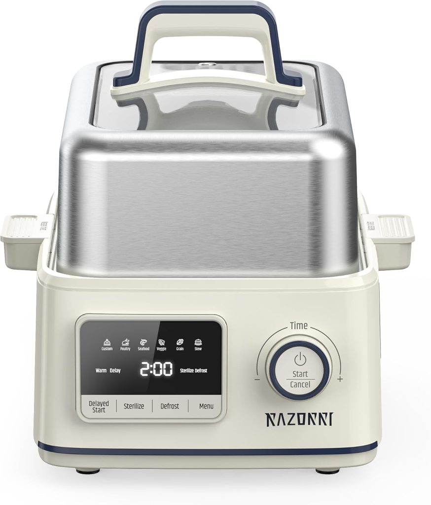 Razorri Electric Food Steamer Review